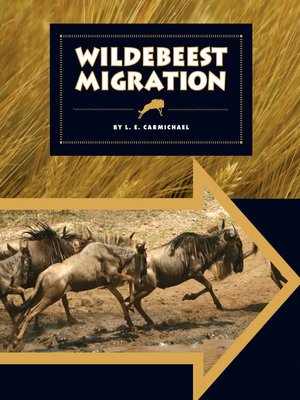 cover image of Wildebeest Migration
